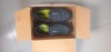 Men shoes